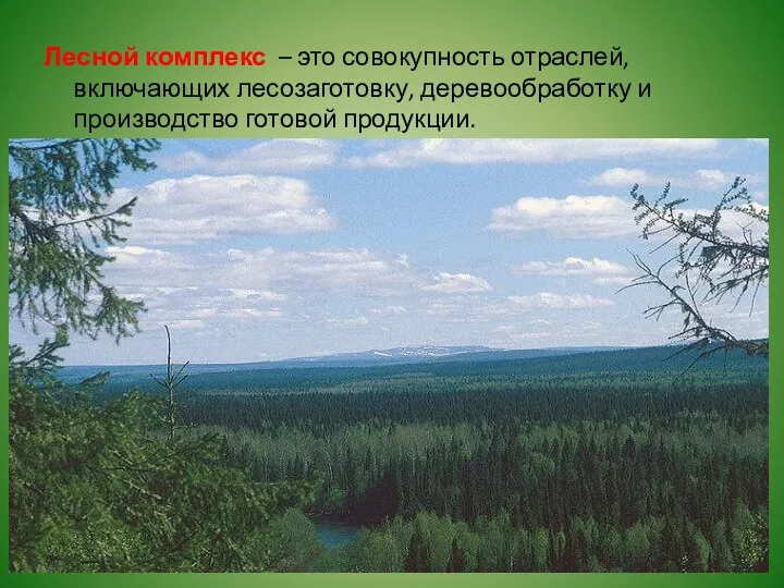 Лесной комплекс – это совокупность отраслей, включающих лесозаготовку, деревообработку и производство готовой продукции.