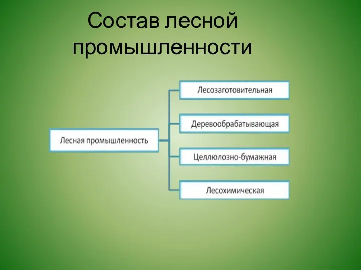 Состав лесной промышленности