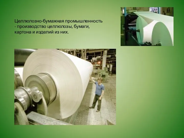 Целлюлозно-бумажная промышленность - производство целлюлозы, бумаги, картона и изделий из них.