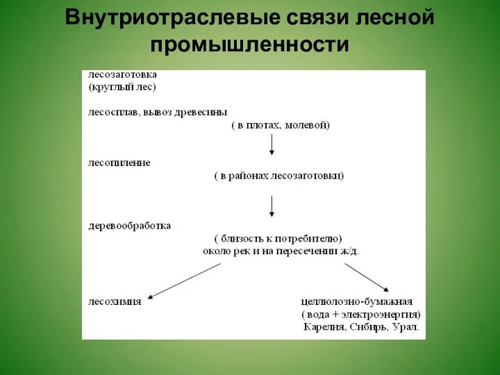 Внутриотраслевые связи лесной промышленности