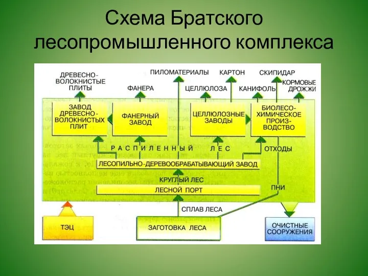 Схема Братского лесопромышленного комплекса