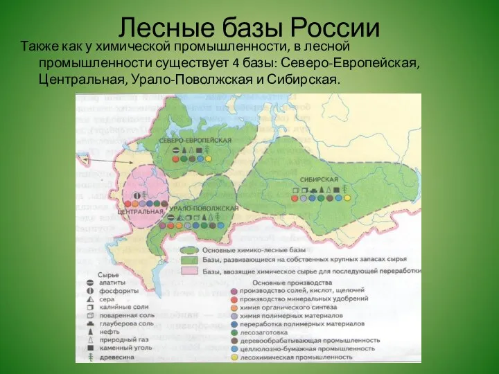 Лесные базы России Также как у химической промышленности, в лесной