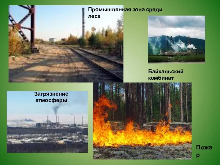 Пожар Промышленная зона среди леса Байкальский комбинат Загрязнение атмосферы