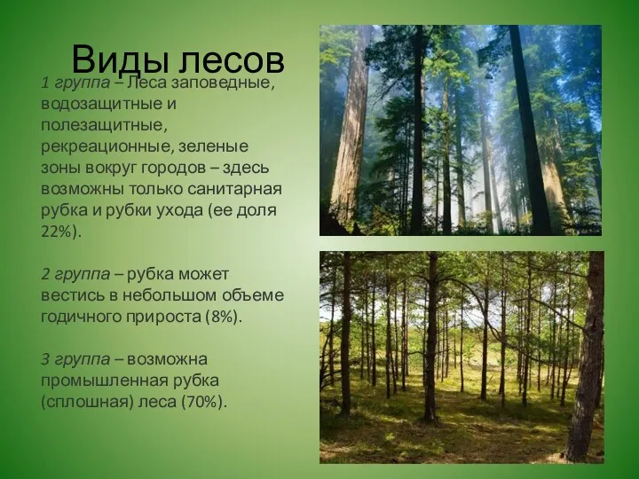 Виды лесов 1 группа – Леса заповедные, водозащитные и полезащитные,