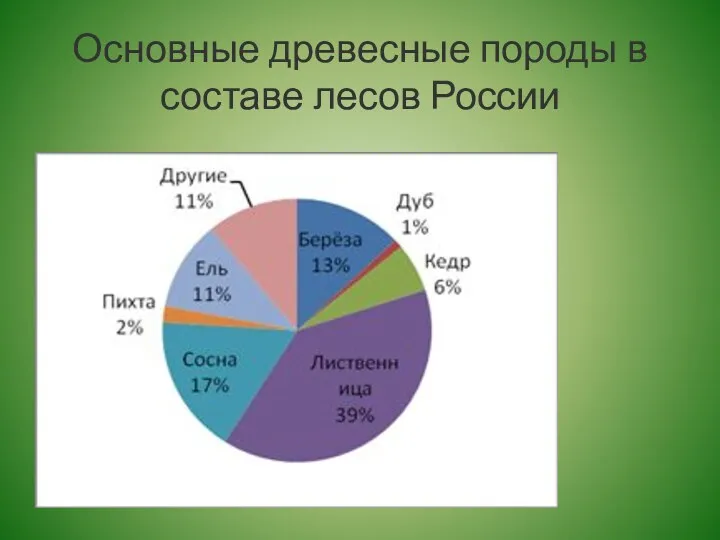 Основные древесные породы в составе лесов России