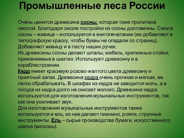 Промышленные леса России Очень ценится древесина сосны, которая тоже пропитана