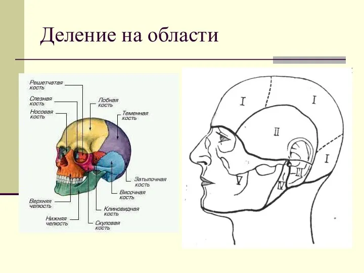 Деление на области