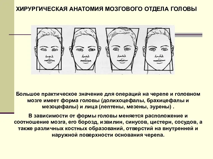 ХИРУРГИЧЕСКАЯ АНАТОМИЯ МОЗГОВОГО ОТДЕЛА ГОЛОВЫ Большое практическое значение для операций