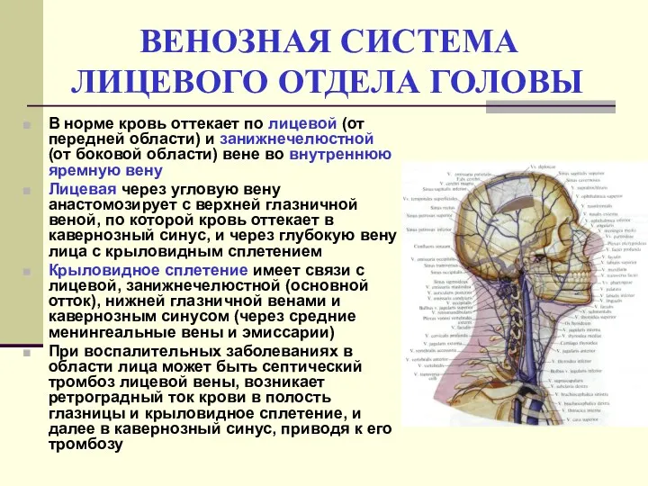 ВЕНОЗНАЯ СИСТЕМА ЛИЦЕВОГО ОТДЕЛА ГОЛОВЫ В норме кровь оттекает по