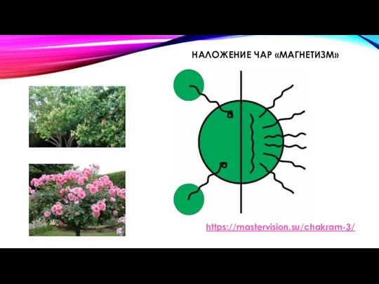 НАЛОЖЕНИЕ ЧАР «МАГНЕТИЗМ» https://mastervision.su/chakram-3/