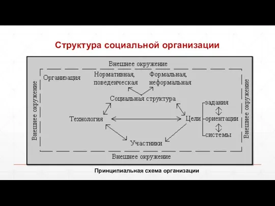 Структура социальной организации Принципиальная схема организации