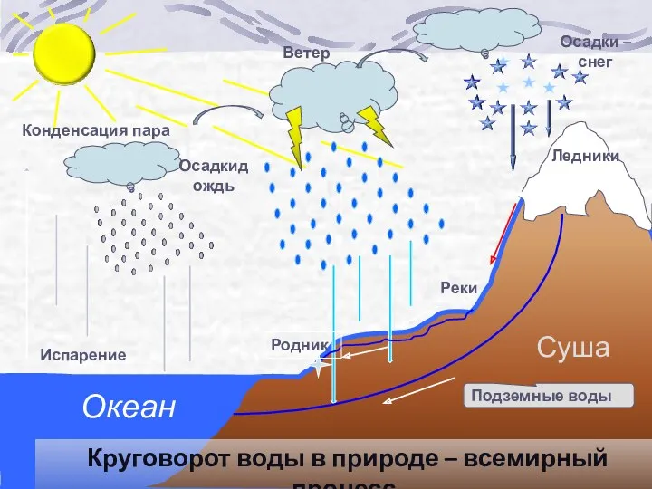 Испарение Конденсация пара Осадкидождь Осадки – снег Ветер Круговорот воды