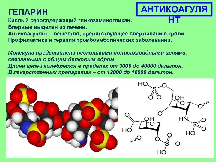 ГЕПАРИН Кислый серосодержащий гликозаминогликан. Впервые выделен из печени. Антикоагулянт –