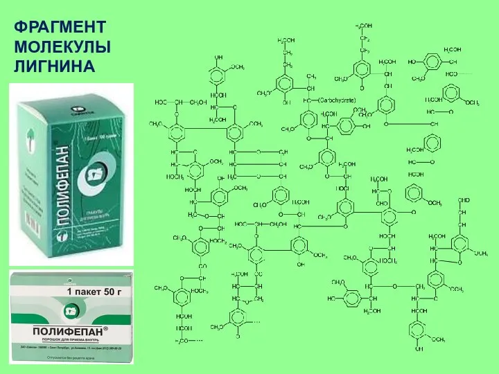 ФРАГМЕНТ МОЛЕКУЛЫ ЛИГНИНА