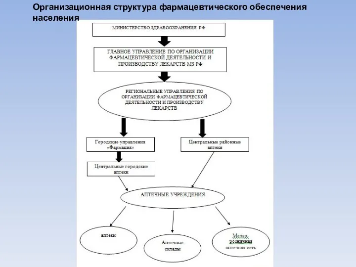 Организационная структура фармацевтического обеспечения населения