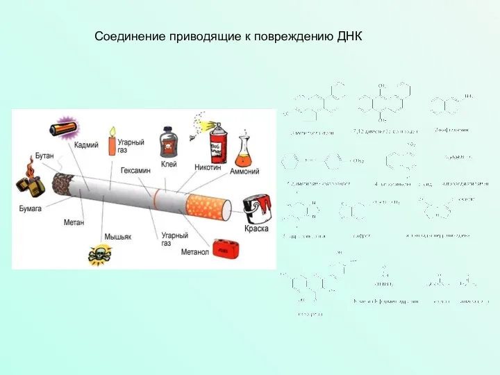 Соединение приводящие к повреждению ДНК