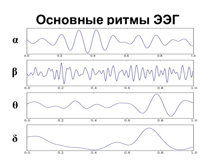 Основные ритмы ЭЭГ α β θ δ