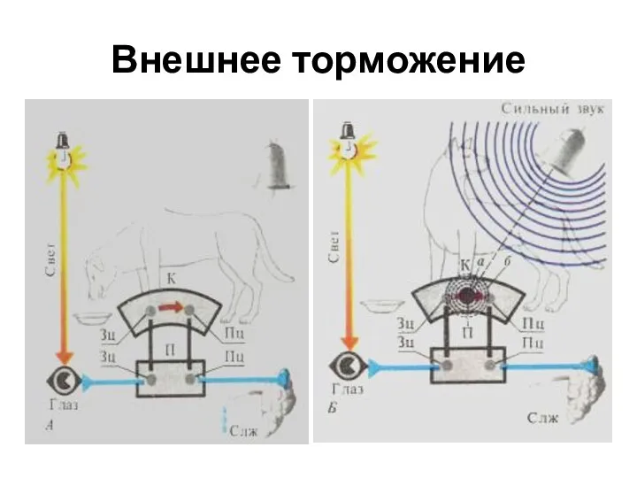 Внешнее торможение