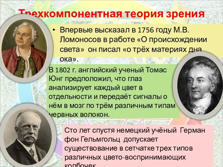 В 1802 г. английский ученый Томас Юнг предположил, что глаз