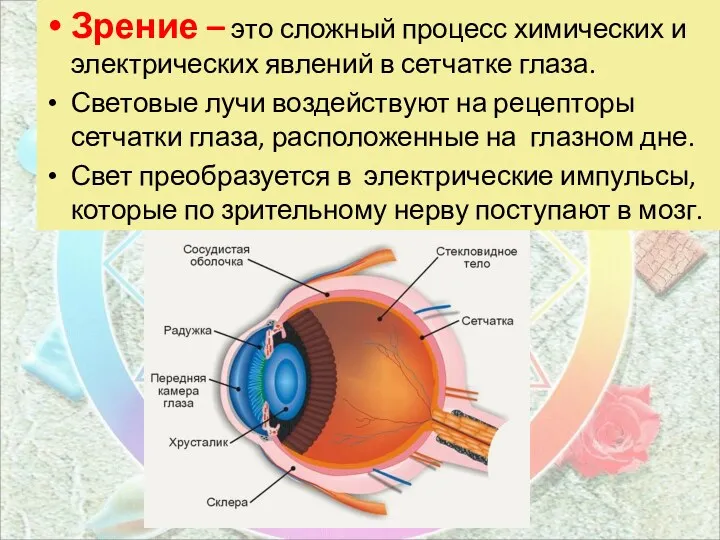 Зрение – это сложный процесс химических и электрических явлений в