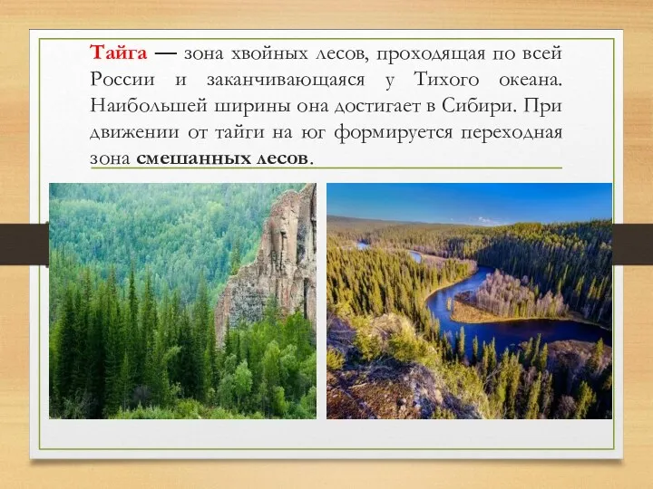 Тайга — зона хвойных лесов, проходящая по всей России и