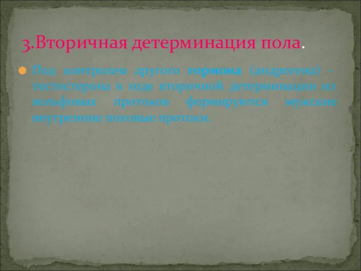 Под контролем другого гормона (андрогена) - тестостерона в ходе вторичной