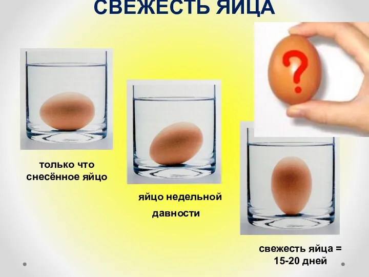 СВЕЖЕСТЬ ЯЙЦА только что снесённое яйцо яйцо недельной давности свежесть яйца = 15-20 дней