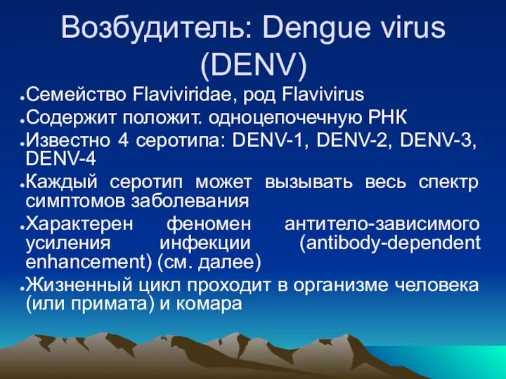 Возбудитель: Dengue virus (DENV) Семейство Flaviviridae, род Flavivirus Содержит положит. одноцепочечную РНК Известно