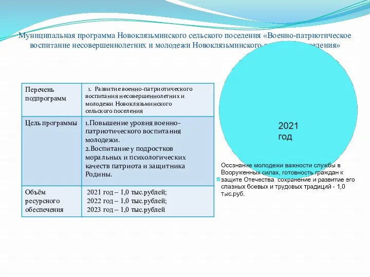 Муниципальная программа Новоклязьминского сельского поселения «Военно-патриотическое воспитание несовершеннолетних и молодежи Новоклязьминского сельского поселения»