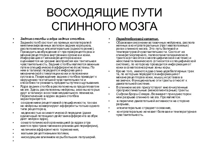 ВОСХОДЯЩИЕ ПУТИ СПИННОГО МОЗГА Задние столбы и ядра задних столбов. Задний столб состоит