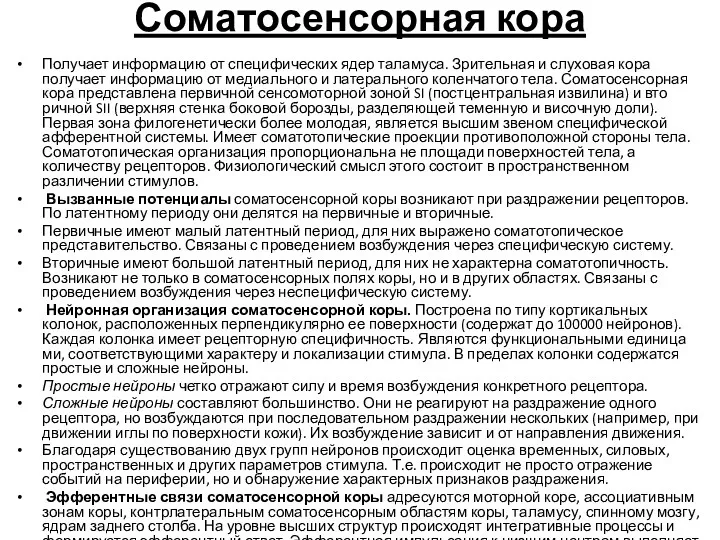 Соматосенсорная кора Получает информацию от специфических ядер таламуса. Зрительная и слуховая кора получает