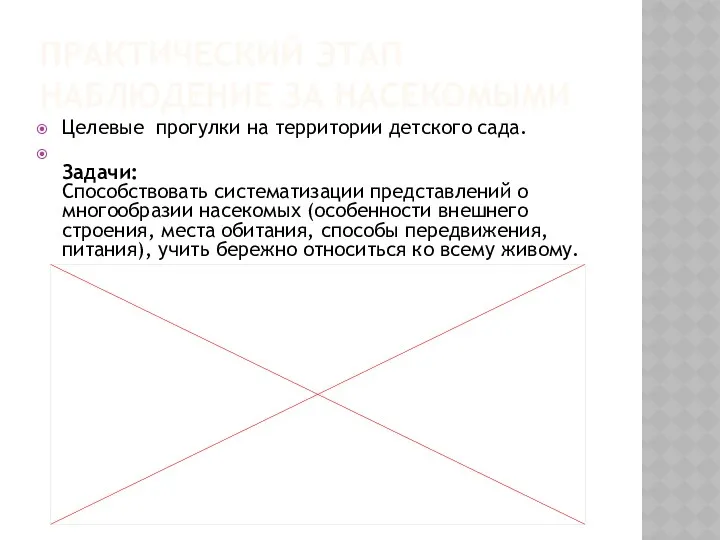 ПРАКТИЧЕСКИЙ ЭТАП НАБЛЮДЕНИЕ ЗА НАСЕКОМЫМИ Целевые прогулки на территории детского сада. Задачи: Способствовать