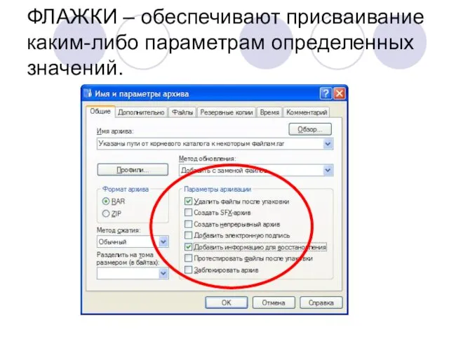 ФЛАЖКИ – обеспечивают присваивание каким-либо параметрам определенных значений.