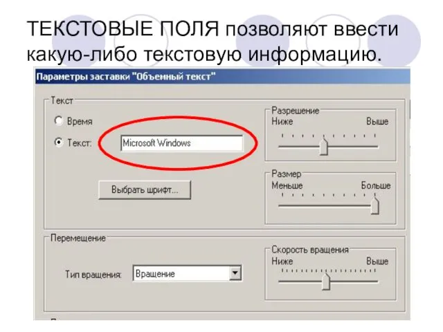 ТЕКСТОВЫЕ ПОЛЯ позволяют ввести какую-либо текстовую информацию.