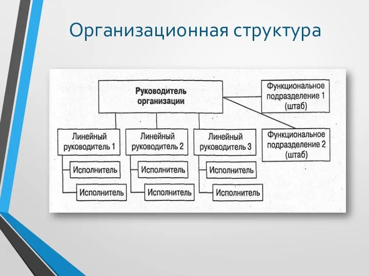 Организационная структура