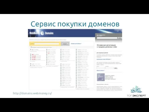 Сервис покупки доменов 1 http://domains.webmoney.ru/