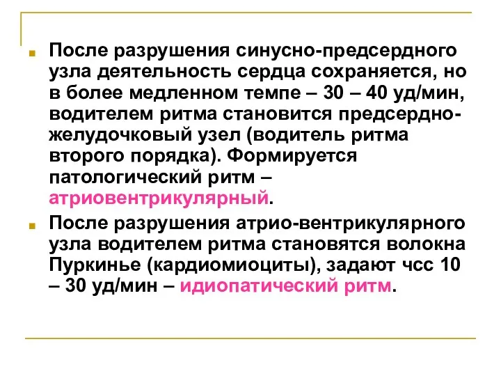 После разрушения синусно-предсердного узла деятельность сердца сохраняется, но в более