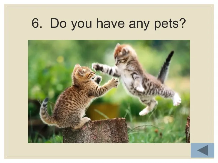 6. Do you have any pets?