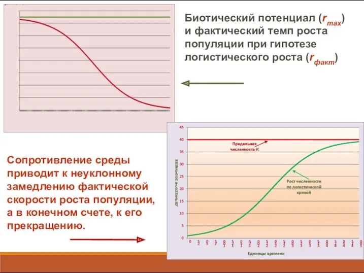 Биотический потенциал (rmax) и фактический темп роста популяции при гипотезе логистического роста (rфакт)