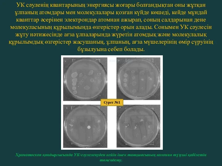 УК сәуленің квантарының энергиясы жоғары болғандықтан оны жұтқан ұлпаның атомдары