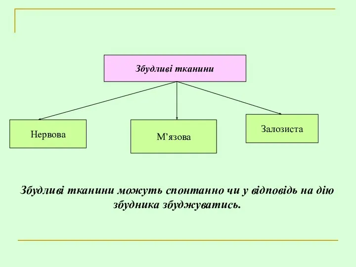 Збудливі тканини можуть спонтанно чи у відповідь на дію збудника збуджуватись.