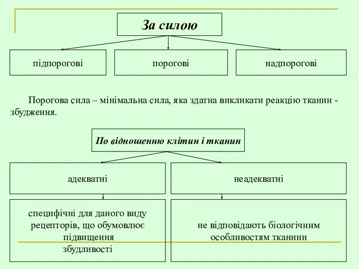 За силою підпорогові порогові надпорогові Порогова сила – мінімальна сила, яка здатна викликати