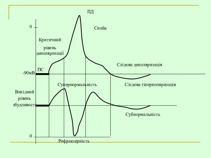 Вихідний рівень збудливості ПД