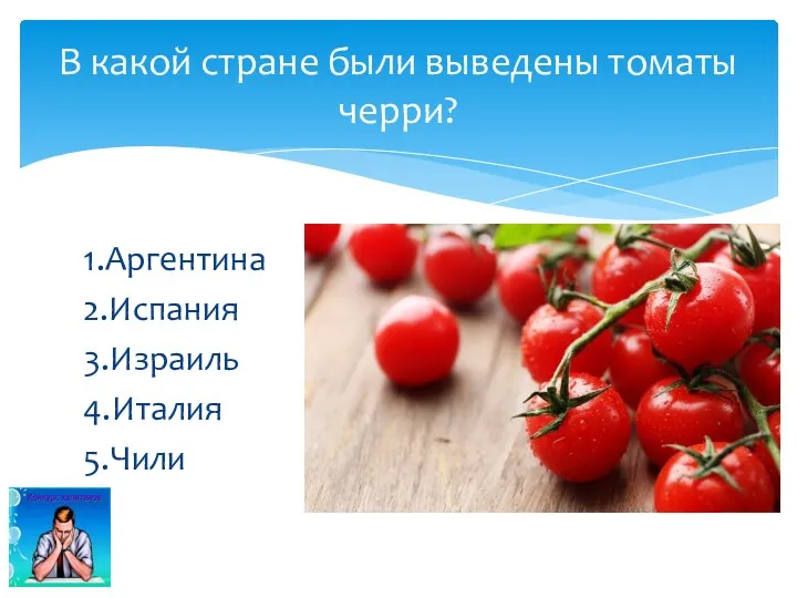 1.Аргентина 2.Испания 3.Израиль 4.Италия 5.Чили В какой стране были выведены томаты черри?