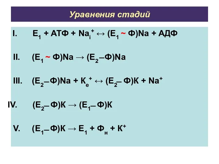 Уравнения стадий E1 + ATФ + Nai+ ↔ (E1 ~ Ф)Na + AДФ