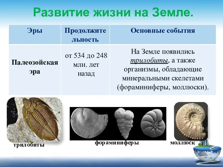 Развитие жизни на Земле. от 534 до 248 млн. лет