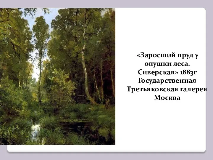 «Заросший пруд у опушки леса. Сиверская» 1883г Государственная Третьяковская галерея Москва