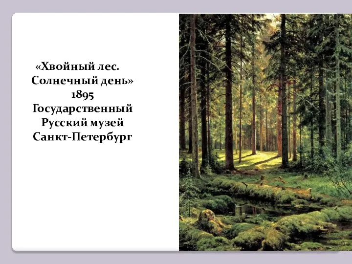 «Хвойный лес. Солнечный день» 1895 Государственный Русский музей Санкт-Петербург