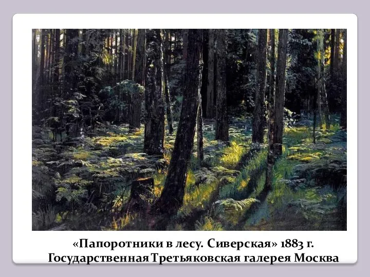 «Папоротники в лесу. Сиверская» 1883 г. Государственная Третьяковская галерея Москва