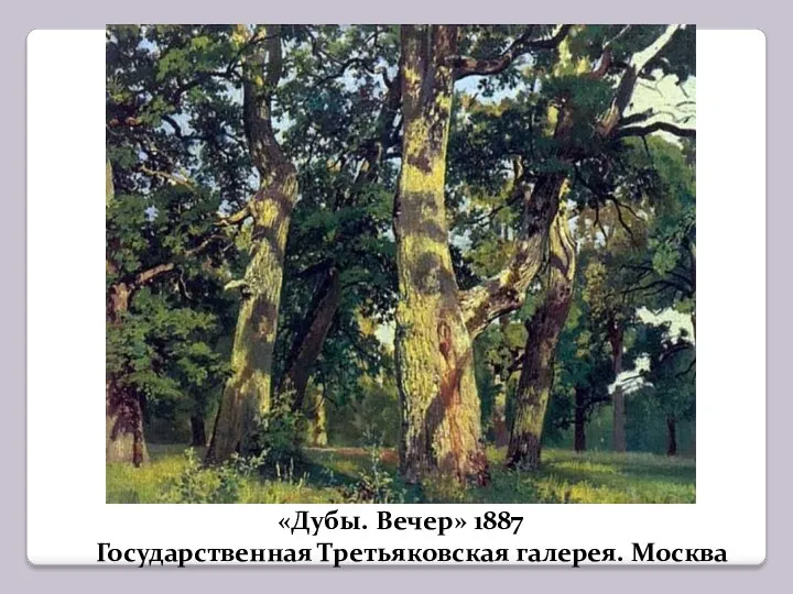 «Дубы. Вечер» 1887 Государственная Третьяковская галерея. Москва